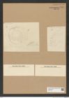 Diatomeae indet. Zeichnungen Sammlung Grunow Nr. 7961 (NHMW-BOT-W0377247)